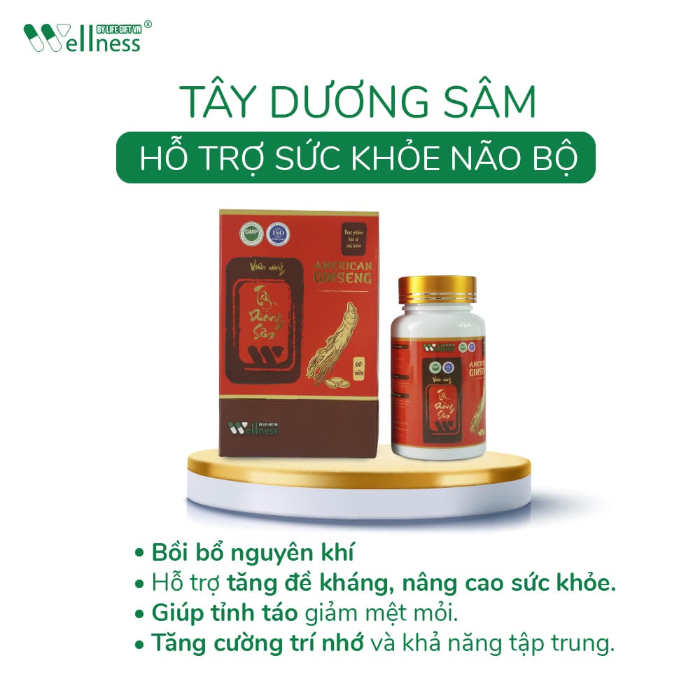 Viên Bổ não Tây dương sâm-duoc-ban-tai-Minu Shop 123